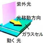 「動く光」で高分子合成のエネルギー効率を大幅改善