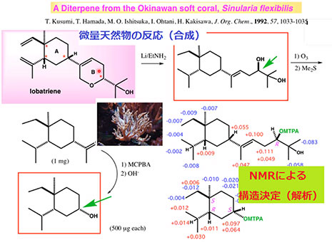 海洋天然物研究の合成と解析